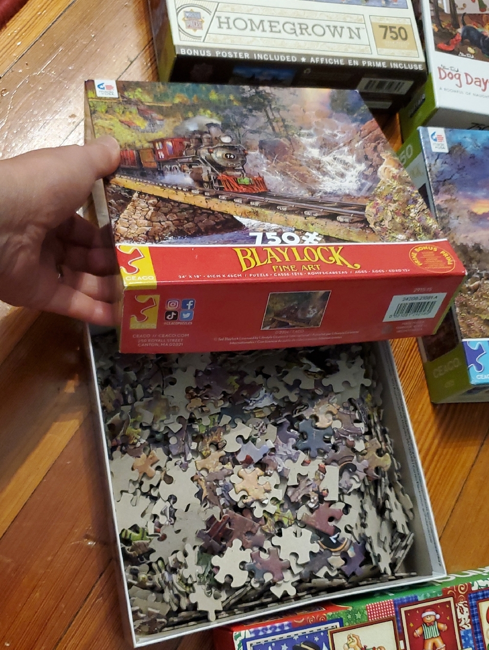 Jigsaw Puzzle 5 Sets Bundle - Picture 3 of 16